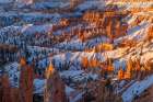 Hoodoos at first light at sunrise Point in Bryce Canyon National Park, Utah, USA. Art Print